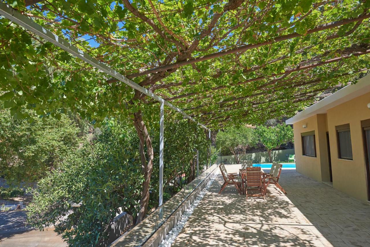 Pura Vida Villa Rodhákinon Ngoại thất bức ảnh